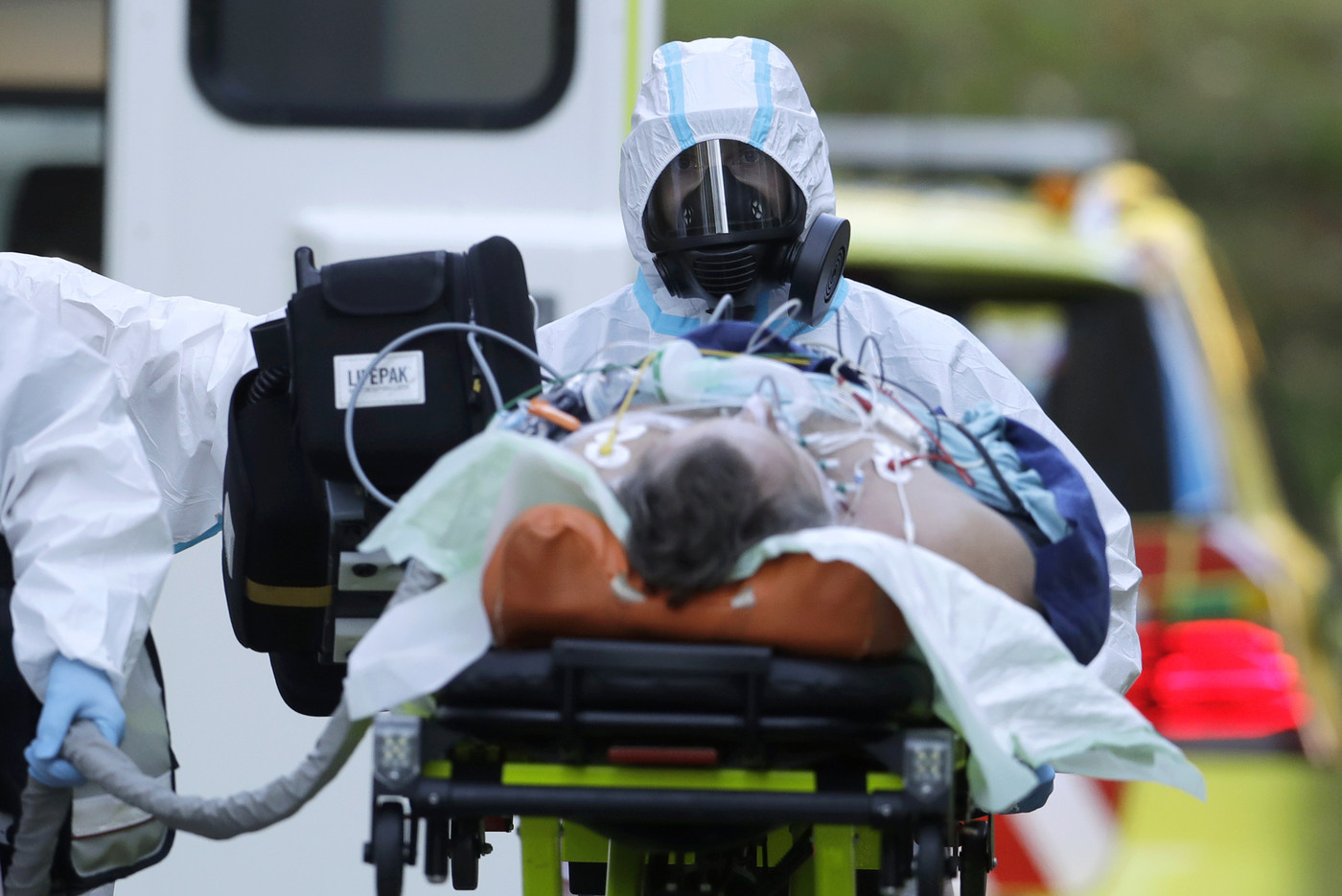 Coronavirus, record di contagi nel mondo. Da Oms allarme su visoni in 6 Paesi