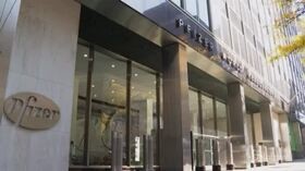 Vaccino Pfizer, Europa prenota 300 milioni di dosi
