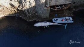 Balena morta trovata in mare vicino a Capri