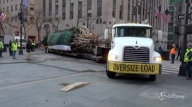 Nyc, Posizionato l’albero di Natale davanti al Rockefeller Center