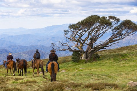 Sostenibilità, comunità e diversità: un nuovo modo di viaggiare nella Best in Travel 2021 di Lonely Planet