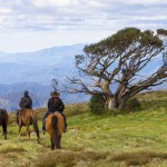 Sostenibilità, comunità e diversità: un nuovo modo di viaggiare nella Best in Travel 2021 di Lonely Planet