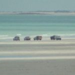 Australia: uomo muore attaccato da uno squalo a Cable Beach