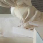 Successo per test antigenici in farmacia a Roma, “Costi contenuti e niente burocrazia”