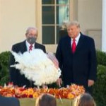 Festa del Ringraziamento, Trump grazia due tacchini