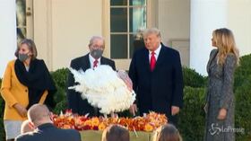 Festa del Ringraziamento, Trump grazia due tacchini