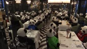 Germania: peluche di panda i seduti a tavola, la protesta di un ristorante contro il lockdown