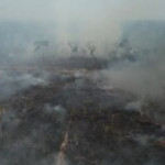 Brasile, la distruzione della Foresta Amazzonica è ai livelli più alti degli ultimi 12 anni