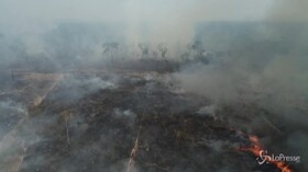 Brasile, la distruzione della Foresta Amazzonica è ai livelli più alti degli ultimi 12 anni