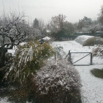 Maltempo, arriva la neve anche in pianura