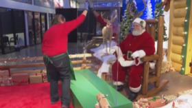 Usa, Babbo Natale ai tempi del Covid: incontra i bambini con mascherina e dietro un vetro