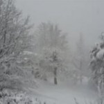 Silenzio e strade imbiancate: la neve ricopre il Verbano