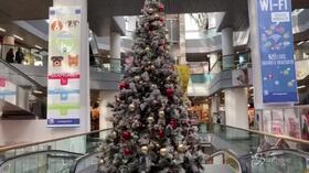 Oggi al via cashback di Natale