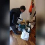 Criminalità farmaceutica, Kit Covid e anabolizzanti sequestrati