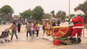 Perù, Natale in anticipo allo zoo de Las Leyendas di Lima