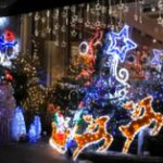 Boom di vendite di alberi di Natale nella città inglese di Harrogate