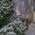 Forte nevicate a New York