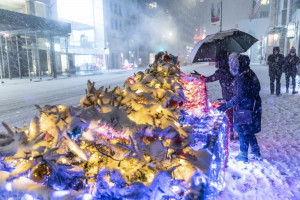 Forte nevicate a New York