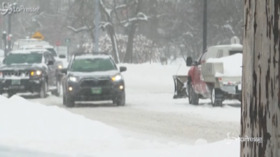 Usa, tempesta di neve imbianca in New England