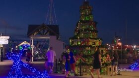 Florida, l’albero di Natale è fatto con trappole per aragoste
