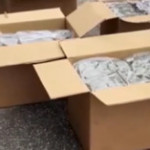 Bologna, marijuana in mezzo alla verdura