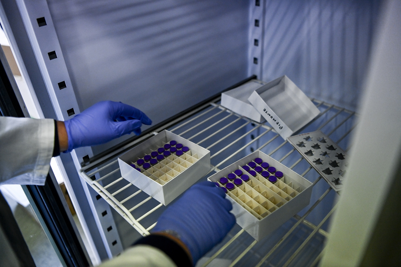 Arcuri: “8.361 gli italiani già vaccinati contro il Covid” Arcuri: “8.361 gli italiani già vaccinati contro il Covid”