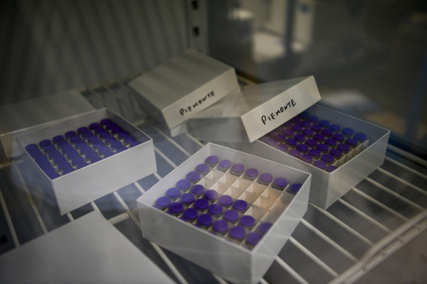 Coronavirus, in Italia vaccinate 14.334 persone