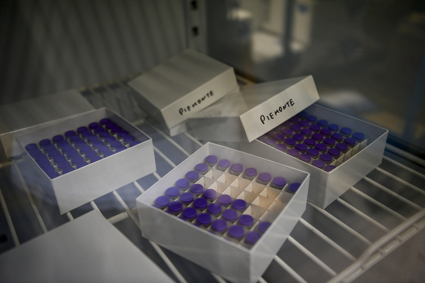 Coronavirus, in Italia vaccinate 14.334 persone Coronavirus, in Italia vaccinate 14.334 persone