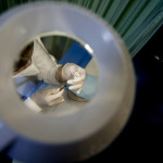 Vaccini, in Italia già 259 mila persone hanno ricevuto la prima dose