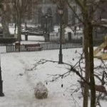 Spagna, le strade di Madrid coperte di neve