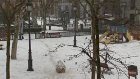 Spagna, le strade di Madrid coperte di neve