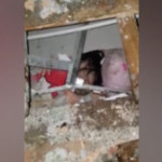 Indonesia, sisma a Sulawesi: una ragazzina intrappolata tra le macerie