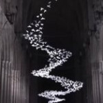 Usa: commemorate vittime covid, le campane della Cattedrale di Washington suonano 400 volte