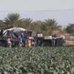 California, braccianti agricoli vaccinati contro il Covid
