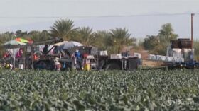 California, braccianti agricoli vaccinati contro il Covid