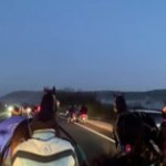 Siracusa, corsa clandestina di cavalli: il video su Facebook incastra i responsabili