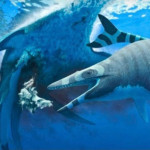 Marocco, scoperto nuovo mosasauro del Cretaceo: lucertola marina con ‘denti di squalo’