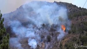 Patagonia, gli incendi devastano ettari di boschi