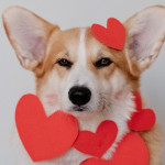 L’oroscopo del giorno di domenica 7 febbraio: Scorpione, non trascurate chi vi ama