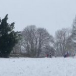 Paesi Bassi, la tempesta di neve Darcy colpisce il paese