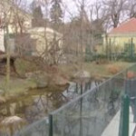 Austria: riapre anche lo zoo di Vienna, lunghe code dalla mattina