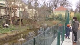 lo zoo di Vienna
