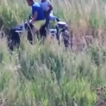 ‘Ndrangheta, colpo alle cosche di Isola Capo Rizzuto: decine di arresti