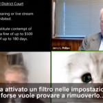 Attiva per errore il filtro durante l’udienza su Zoom: avvocato si trasforma in gattino