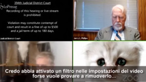 Filtro durante l'udienza su Zoom: avvocato si trasforma in gattino