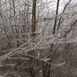 Inizio settimana di freddo intenso soprattutto al Sud