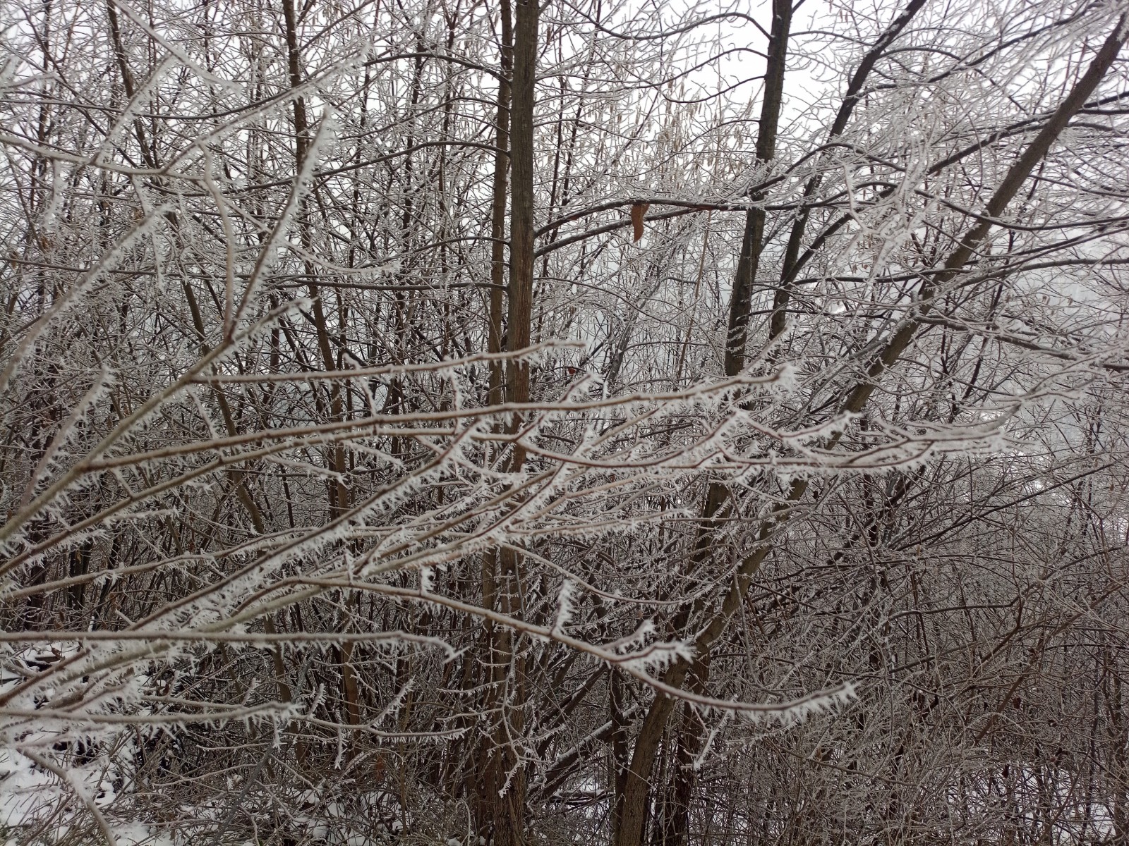Inizio settimana di freddo intenso soprattutto al Sud