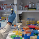 Coronavirus, allerta per le nuove varianti