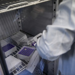 Coronavirus, indagine dell’Iss sulle varianti: sotto analisi 1.058 contagi