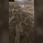 Eruzione Etna, la cenere invade piazza del Duomo a Catania